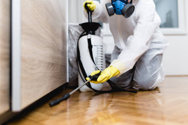 Best Pest Control Near Me in Wardsville, MO