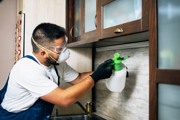 Best Commercial Pest Control Services  in Wardsville, MO