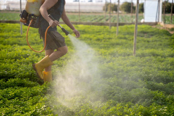 Best Pest Control for Businesses  in Wardsville, MO