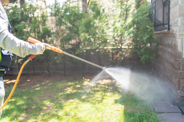 Best Pest Inspection Near Me  in Wardsville, MO
