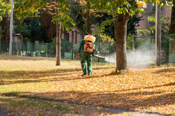 Best Affordable Pest Control Services  in Wardsville, MO