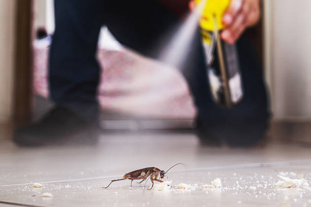 Trusted Wardsville, MO Pest Control Experts