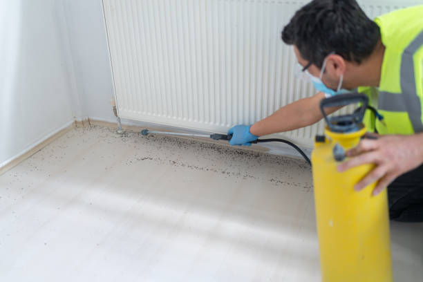 Best Best Pest Control Companies  in Wardsville, MO