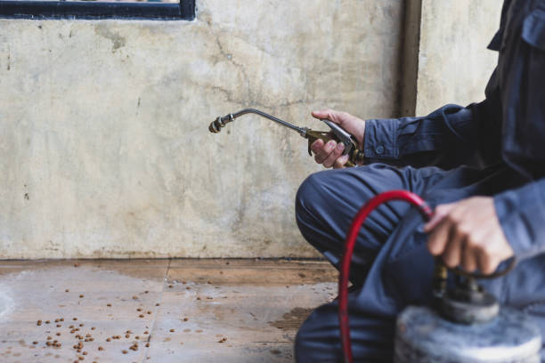 Best Best Pest Control Near Me  in Wardsville, MO